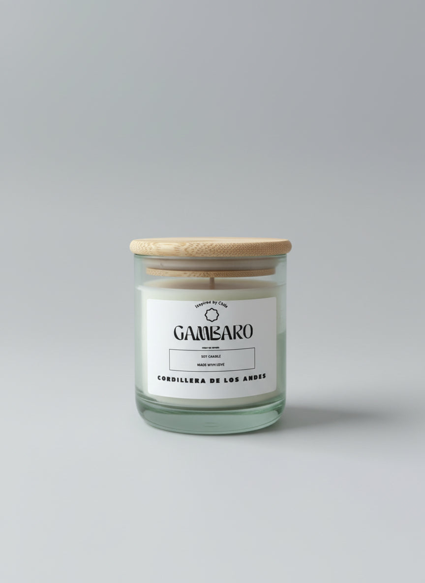 Inspired by Chile, Collection