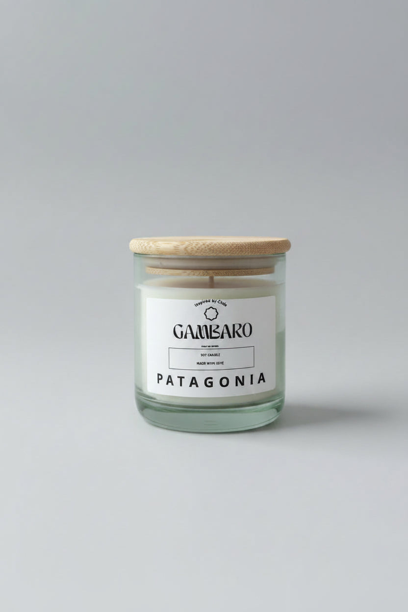 Inspired by Chile, Patagonia