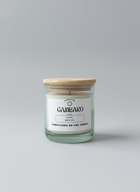 Inspired by Chile, Collection